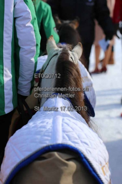 ET0Q0712 prot